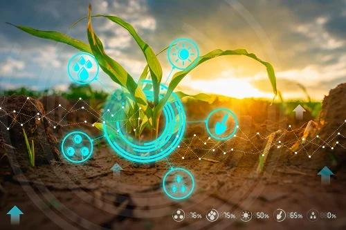 A lavoura é fonte de inúmeros dados para o produtor