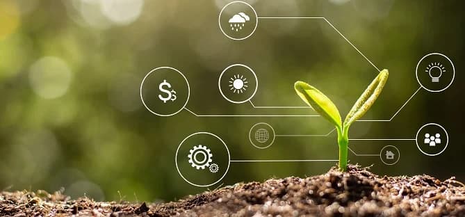 A partir de dados gerados sobre a cultura, o produtor pode tomar decisões mais assertivas para cada região da lavoura