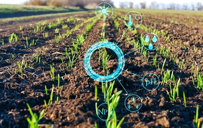 Estande inicial de lavoura de milho: os dados gerados nas operações agrícolas permitem acompanhar cada talhão desde o plantio