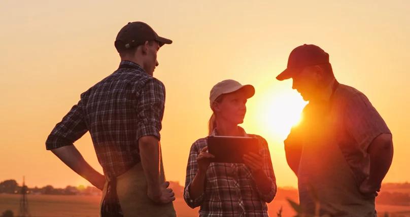 Produtores rurais utilizam dados da lavoura acessados pelo tablet para avaliar o desenvolvimento da safra.