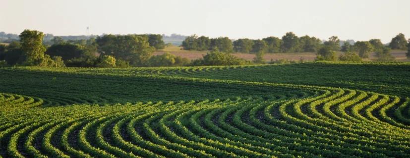 Colheita de soja: em 2020, o PIB do agro foi de mais de 26% das riquezas geradas no Brasil