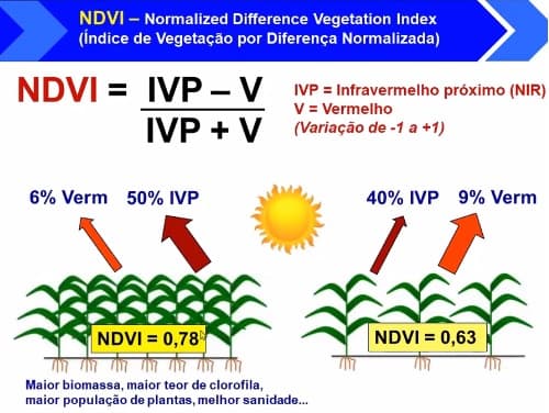 Cálculo do NDVI