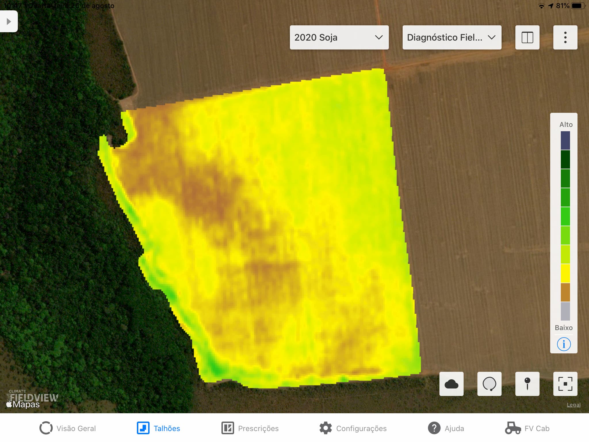 Imagem do Diagnóstico FieldView soja