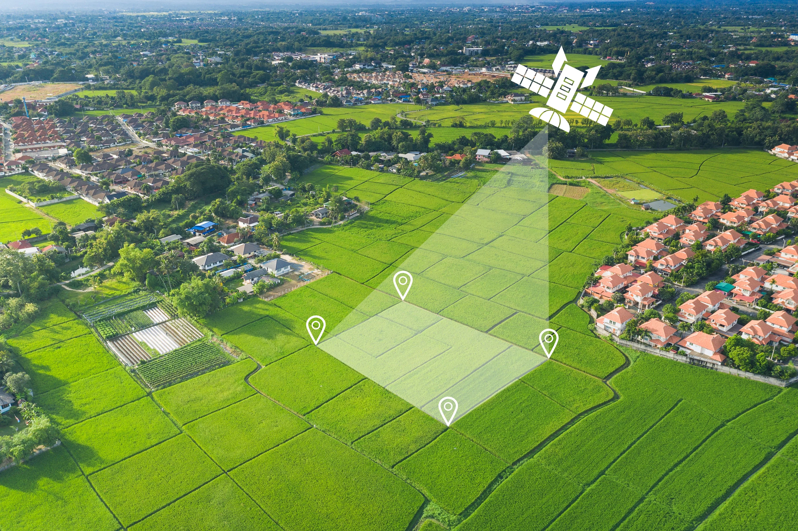 Imagens de satélite ajudam o produtor a identificar áras com presença de daninhas