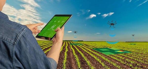 Os dados monitorados ajudam o agricultor a entender tudo o que está acontecendo na sua lavoura