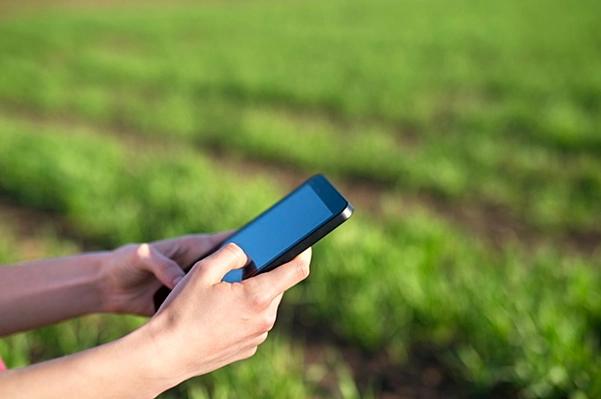 A tecnologia na agricultura ajuda a prever e resolver, antecipadamente, problemas que resultariam em perdas econômicas