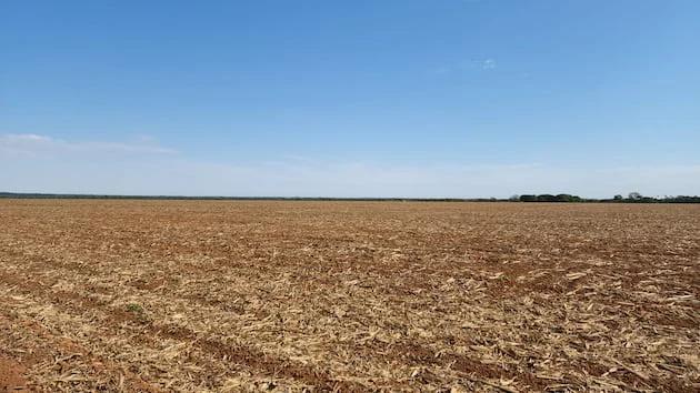 Área em vazio sanitário no Centro-Oeste do Brasil