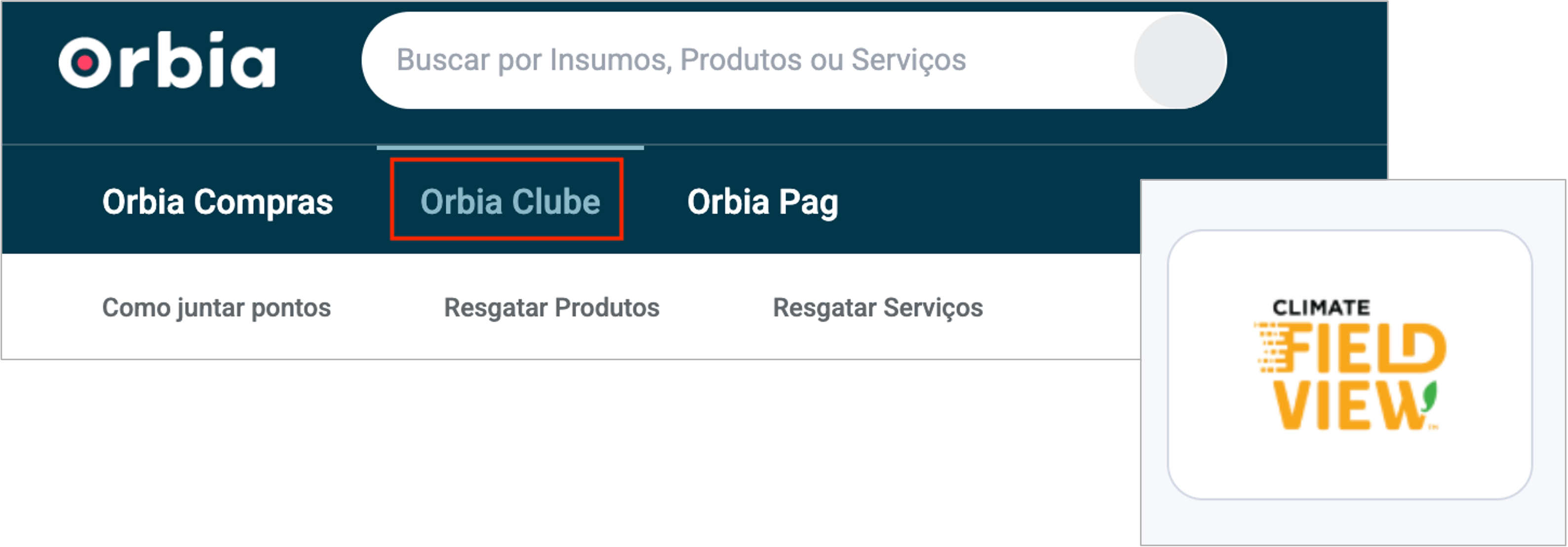 clube orbia