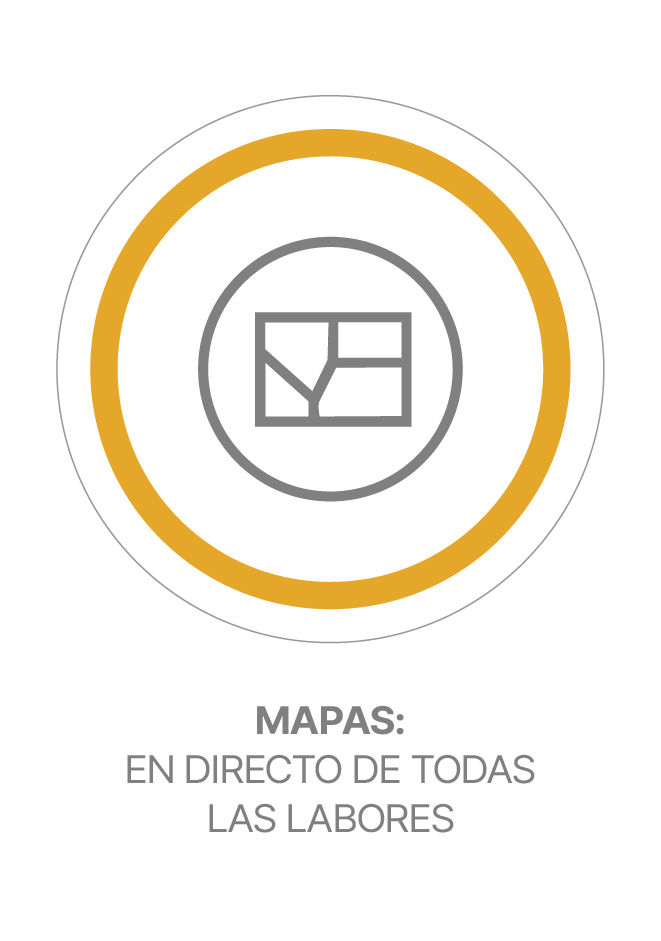 Mapas