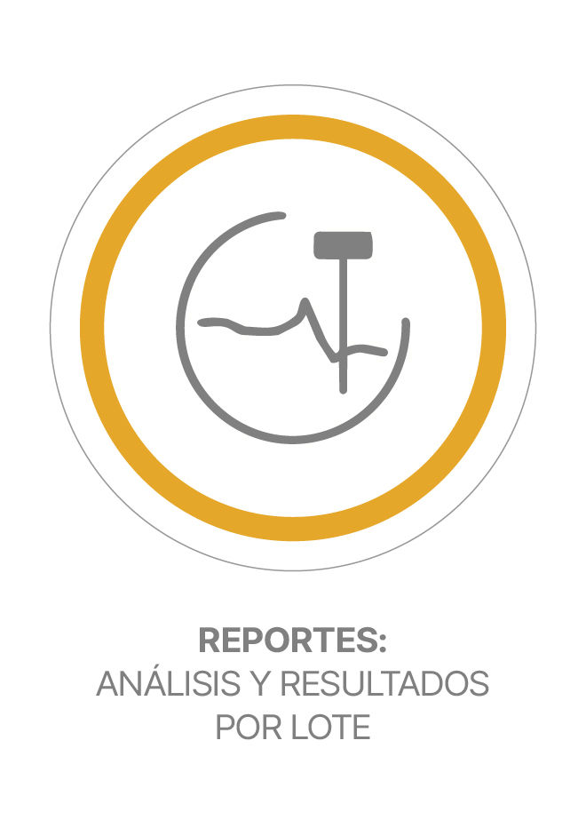 Reportes