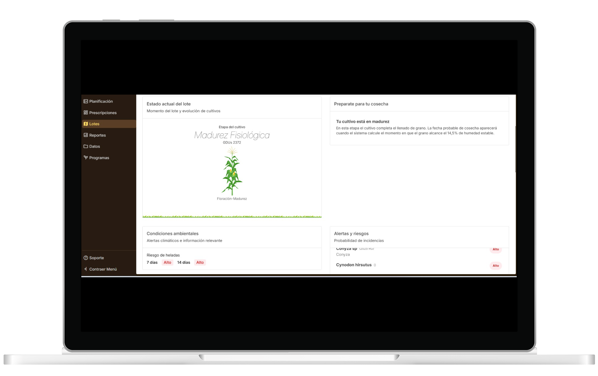 Herramientas digitales de FieldView™ para generar recomendaciones agronómicas durante la campaña