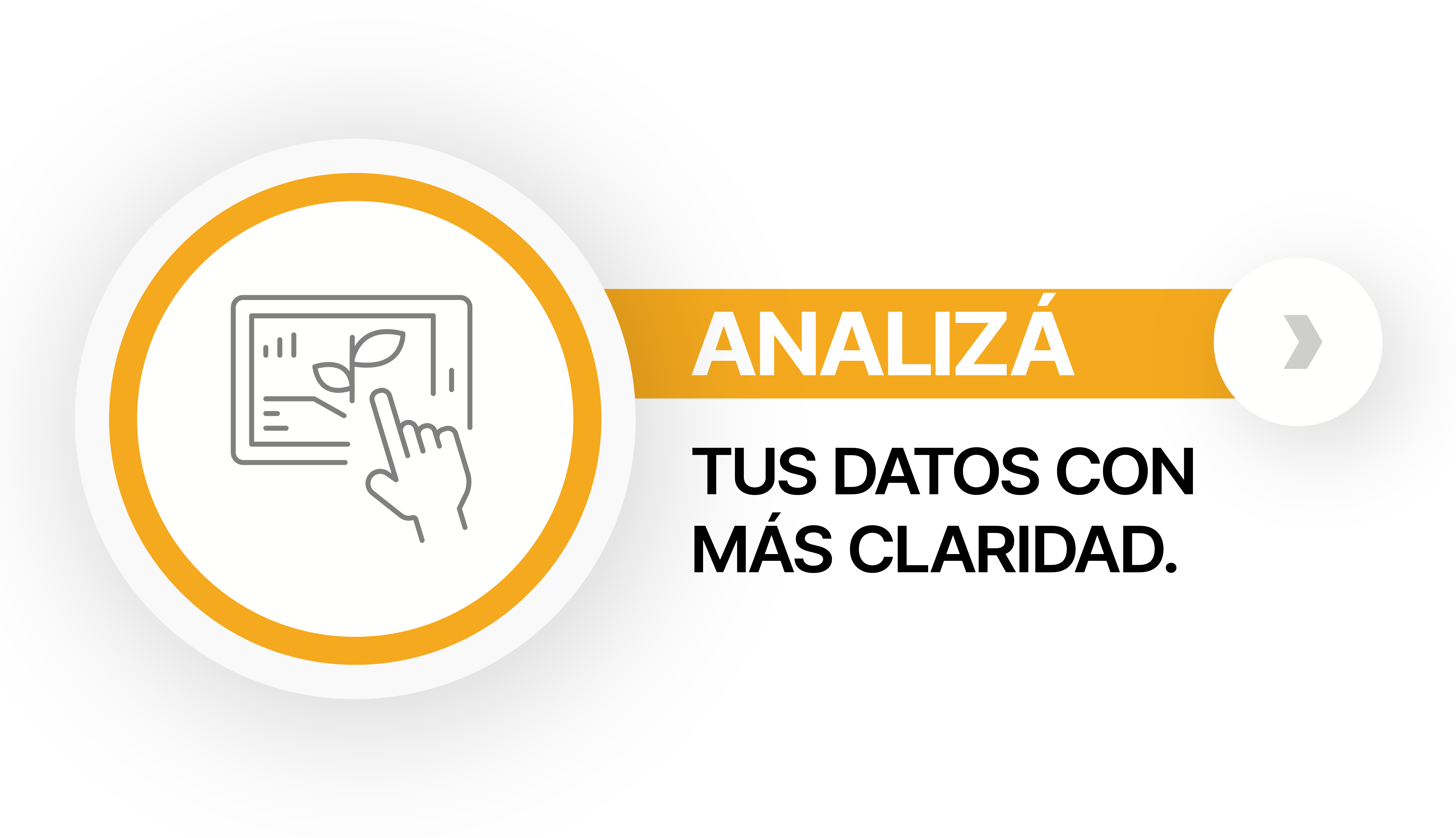 Analizá