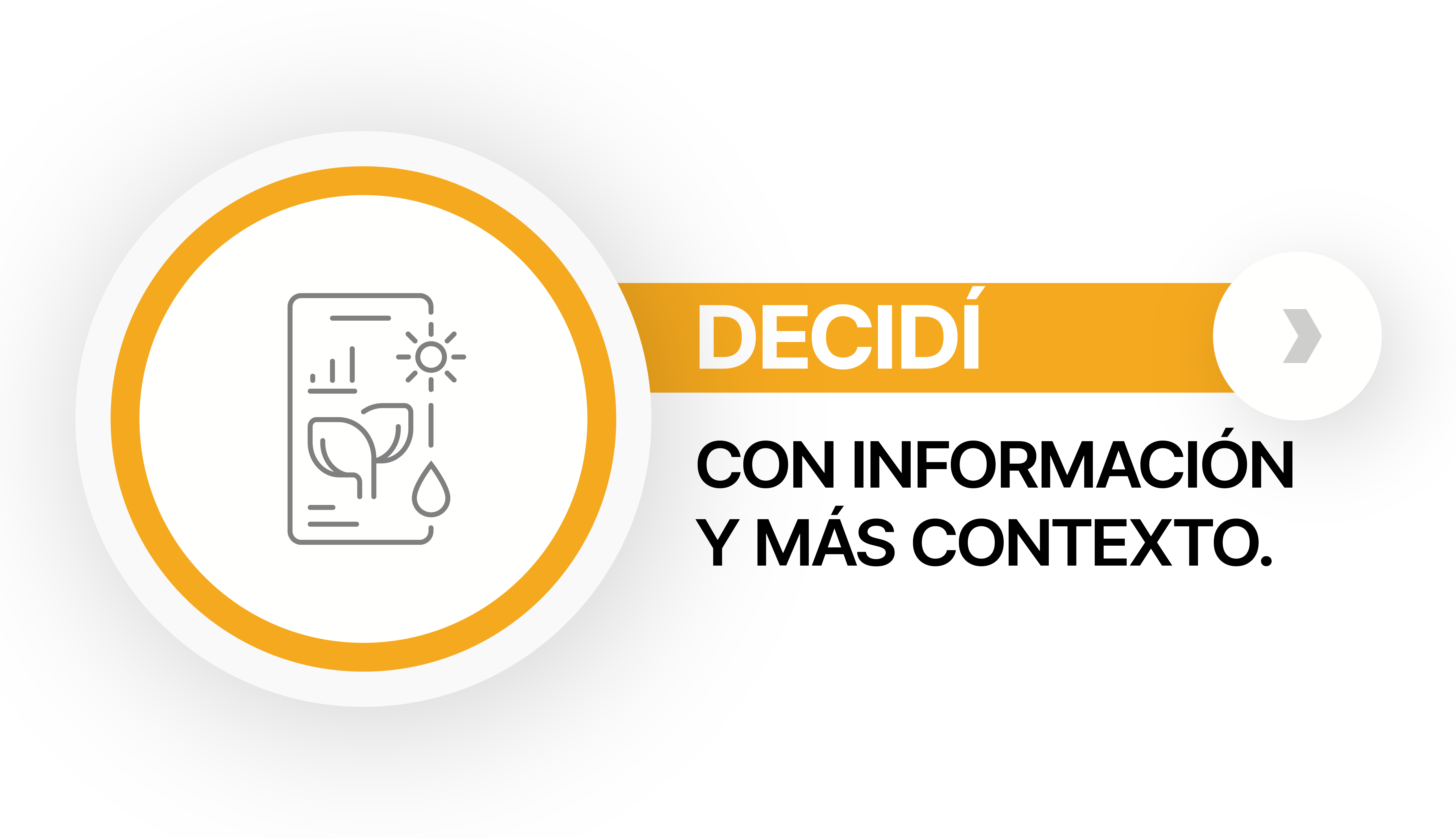 Decidí