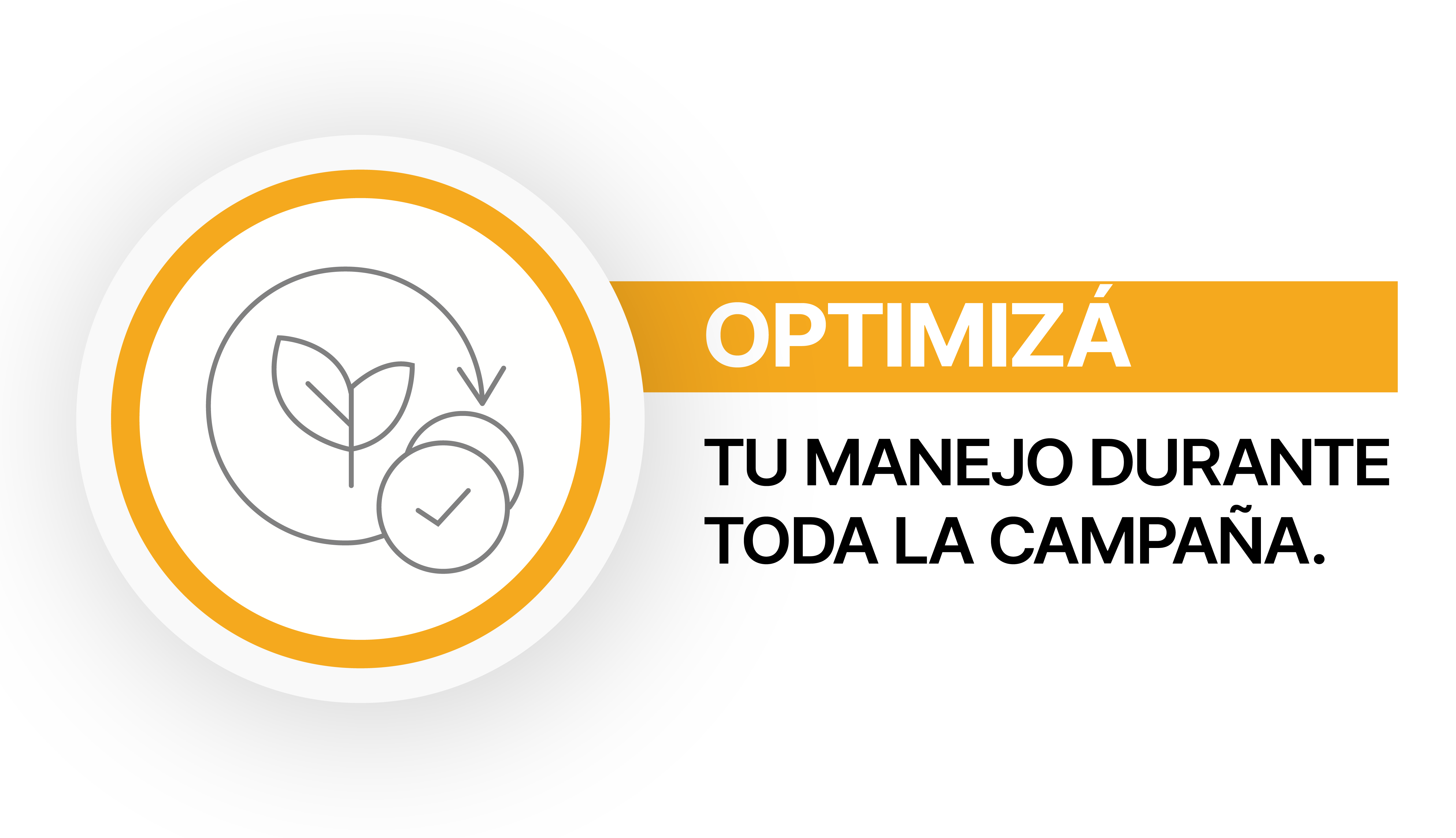 Optimizá