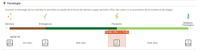experto-recomendacion-hibridos