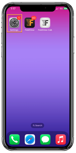iOS Settings