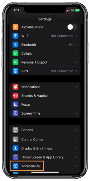 Accessibility button on iPhone Settings