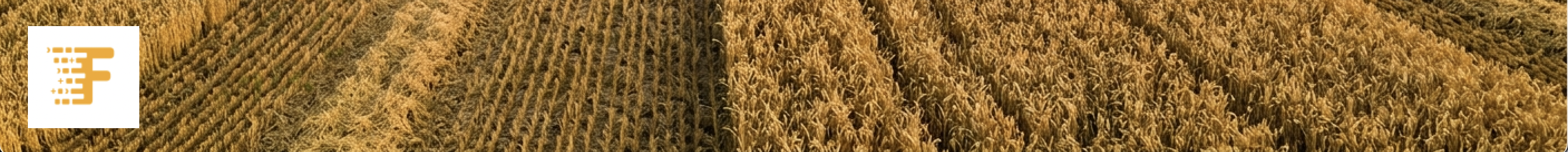 harvested field