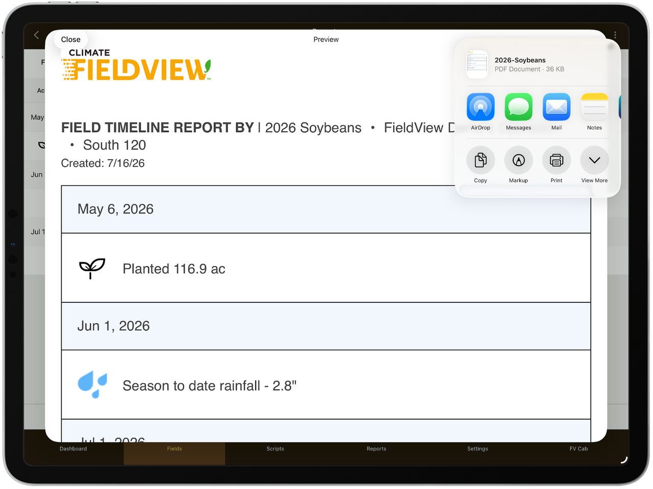 fieldview-timeline-report