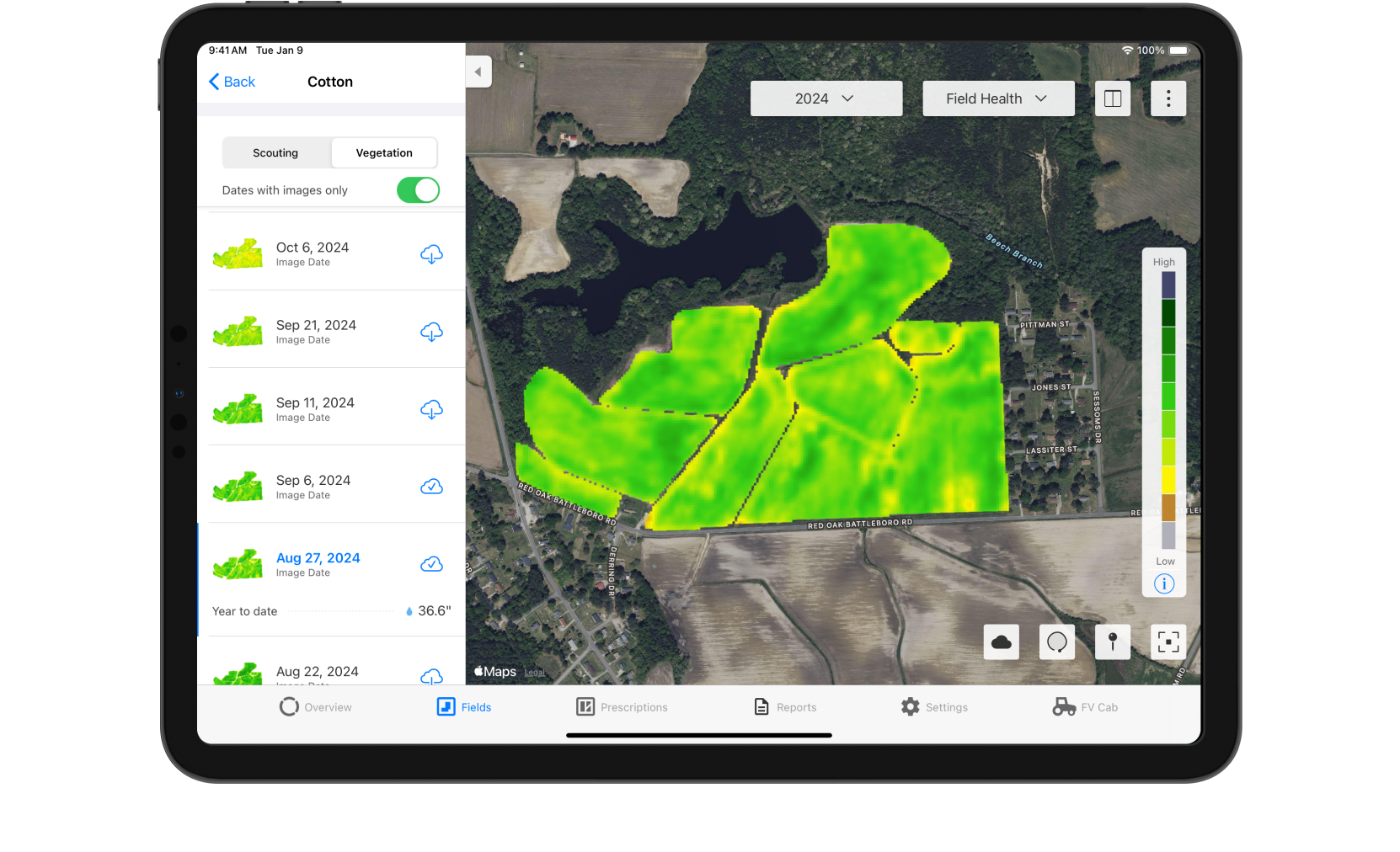 Vegetation map in FieldView