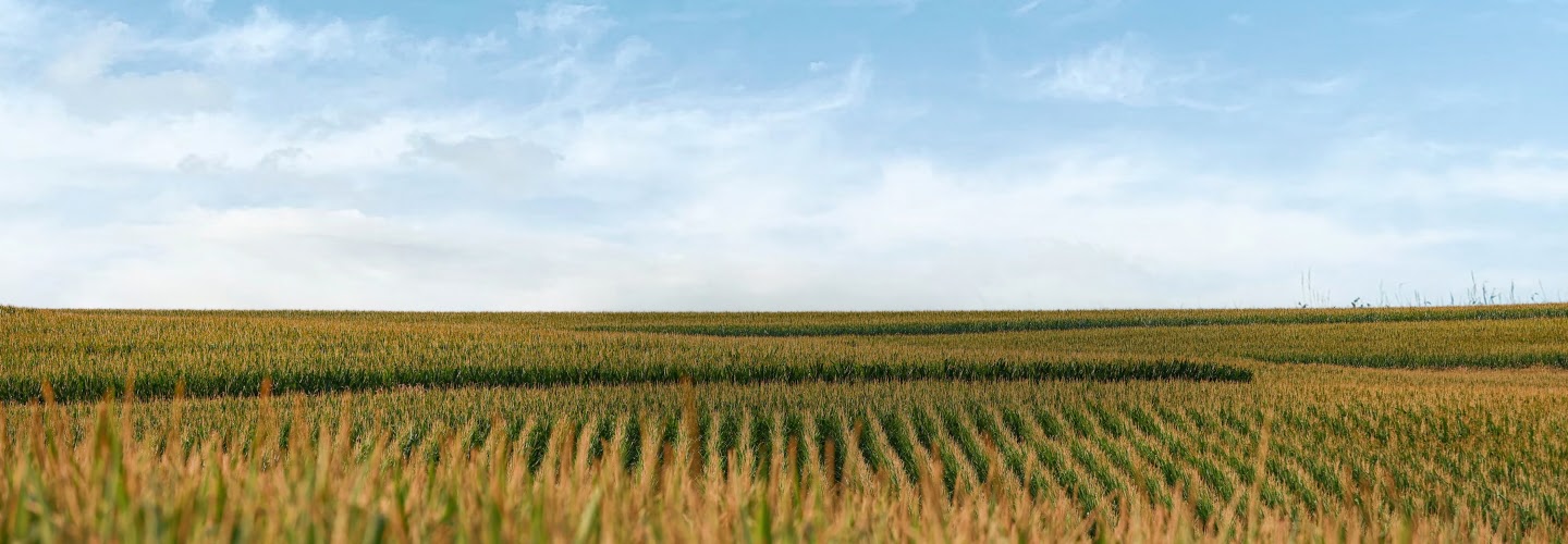 Четыре функции FieldView™, которые упростят ваш сезон выращивания