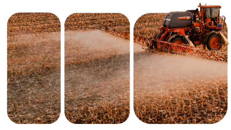 Agricultores examinando plantação de soja