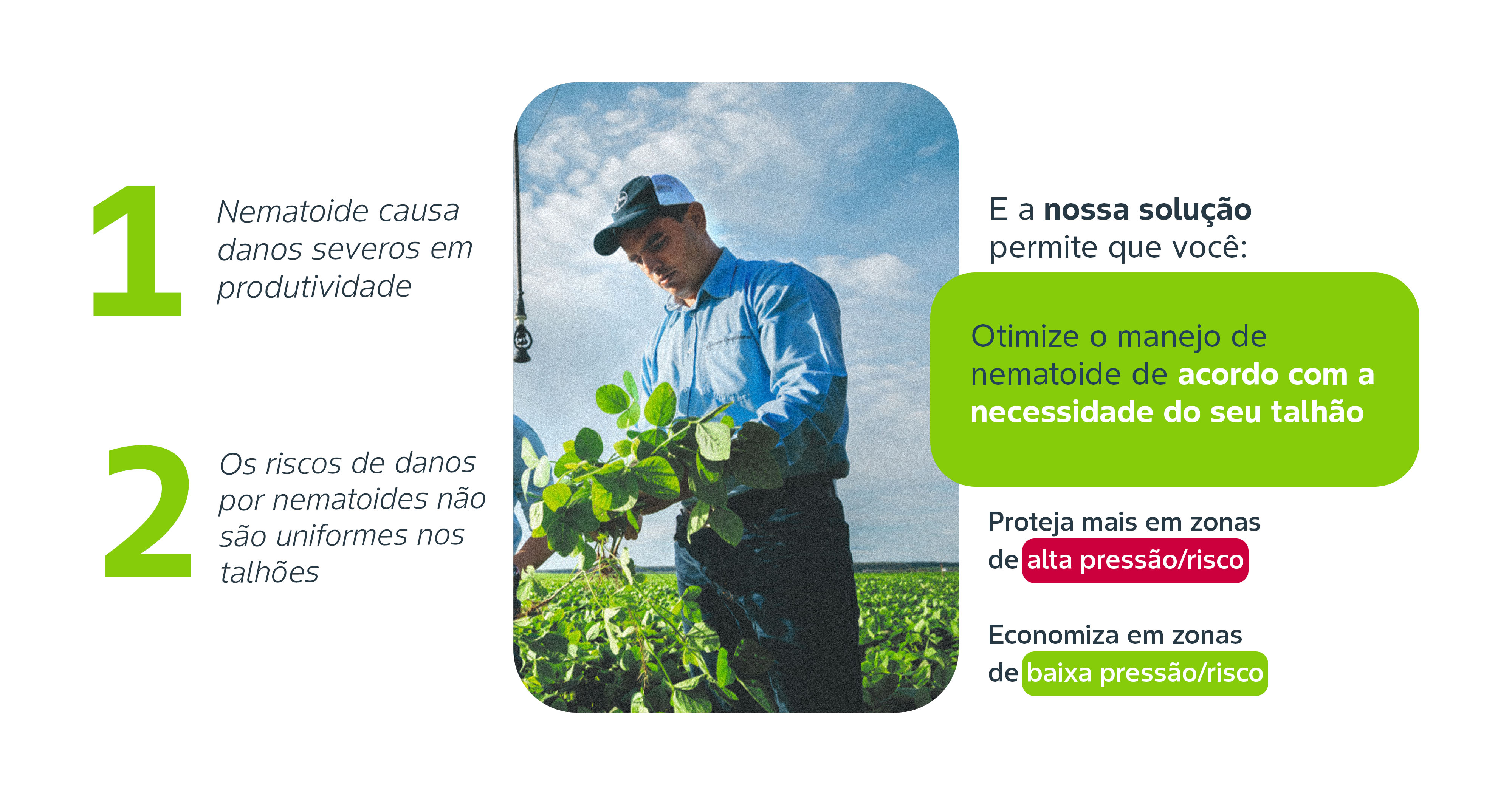 Agricultores examinando plantação de soja